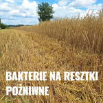 Bakterie Na Resztki Pożniwne